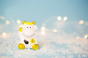 Similar image 20982464