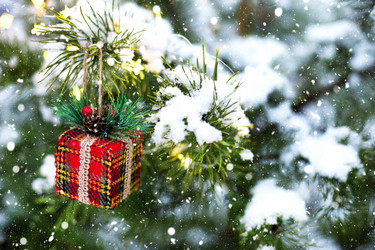 Similar image 20984316