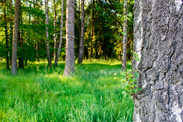 Similar image 20983097