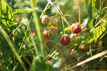 Similar image 20984326