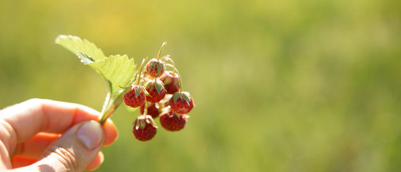 Similar image 20984327