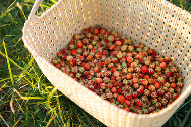 Similar image 20984922