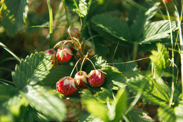 Similar image 20984923