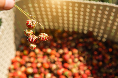 Similar image 20984984