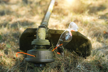 Similar image 20985029