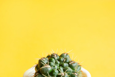 Similar image 20982295