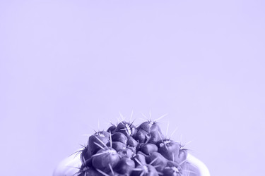 Similar image 20996473