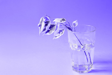 Similar image 20996474