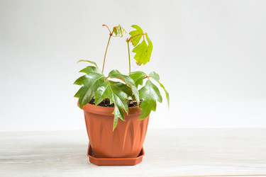 Similar image 20996475