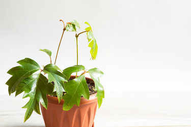 Similar image 20982315