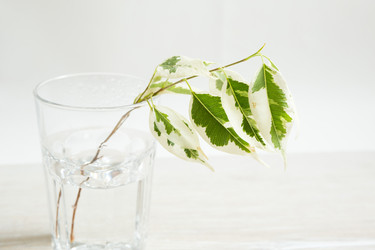 Similar image 20982360