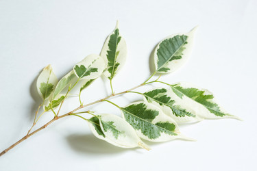 Similar image 20982361