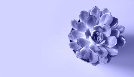 Similar image 20996479