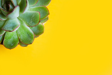 Similar image 20982485