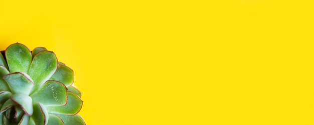 Similar image 20996481