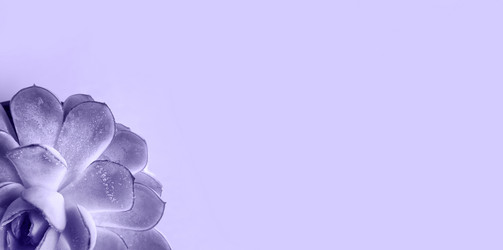 Similar image 20996482