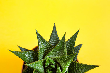 Similar image 20996483