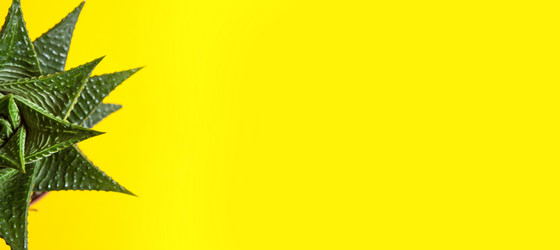 Similar image 20996484