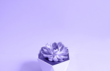 Similar image 20997056