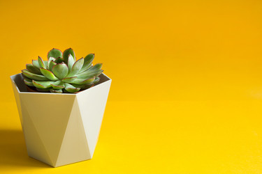 Similar image 20982487