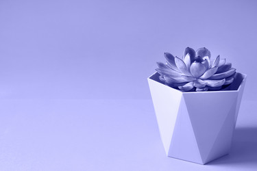 Similar image 20997058