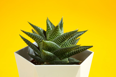 Similar image 20997061