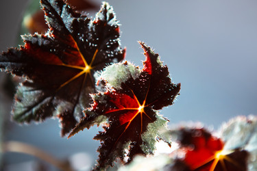 Similar image 20982491