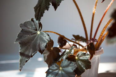 Similar image 20982492