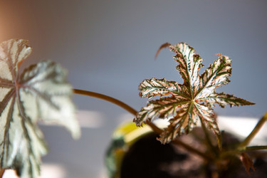 Similar image 20982493