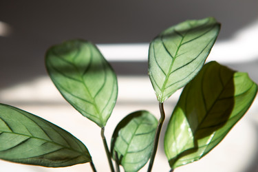 Similar image 20984063