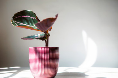 Similar image 20984065