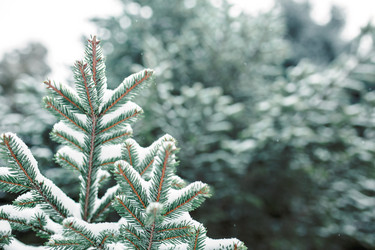 Similar image 20984343