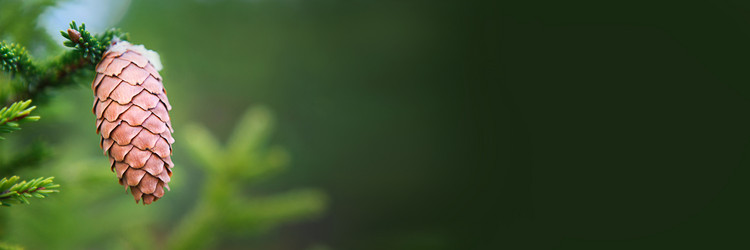 Similar image 20982509