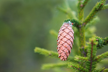 Similar image 20984079