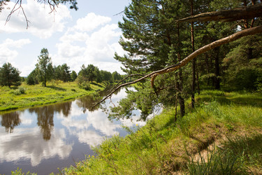 Similar image 20984351