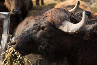 Similar image 20985054