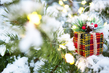 Similar image 20985055