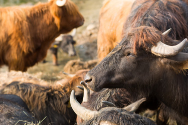 Similar image 20985119