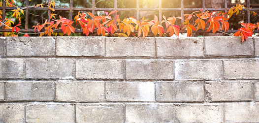 Similar image 20996501