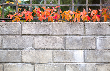 Similar image 20982521