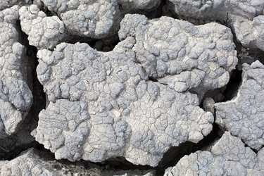 Similar image 20982522