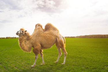 Similar image 20982531