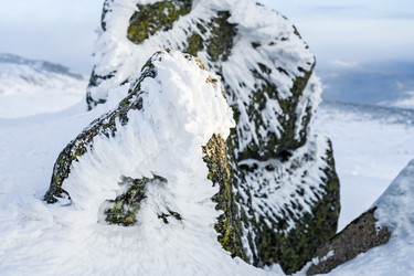 Similar image 20972984