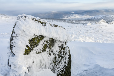 Similar image 20972985