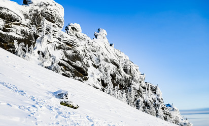 Similar image 20973004