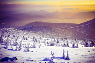 Similar image 20973007