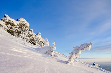 Similar image 21001289