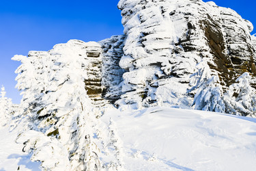 Similar image 21001291