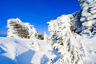 Similar image 21001757