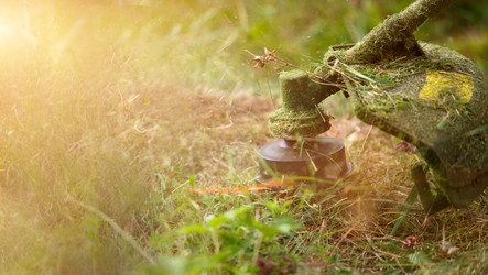 Similar image 20984106